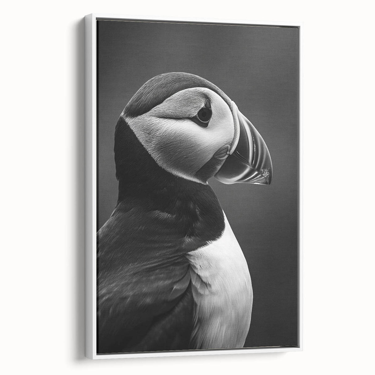 Framed canvas wall art featuring a colorful puffin design, presented in a white frame, showcasing vibrant colors and intricate details from a side view, perfect for enhancing any modern décor.