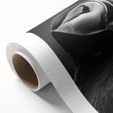 Colorful rolled canvas featuring an artistic puffin design, showcasing vibrant hues and intricate details, perfect for enhancing modern home decor and bird enthusiasts' collections.