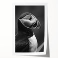 Puffin-themed wall art print showcasing vibrant colors and intricate design details, rolled and ready for framing or display, perfect for bird lovers and art enthusiasts.