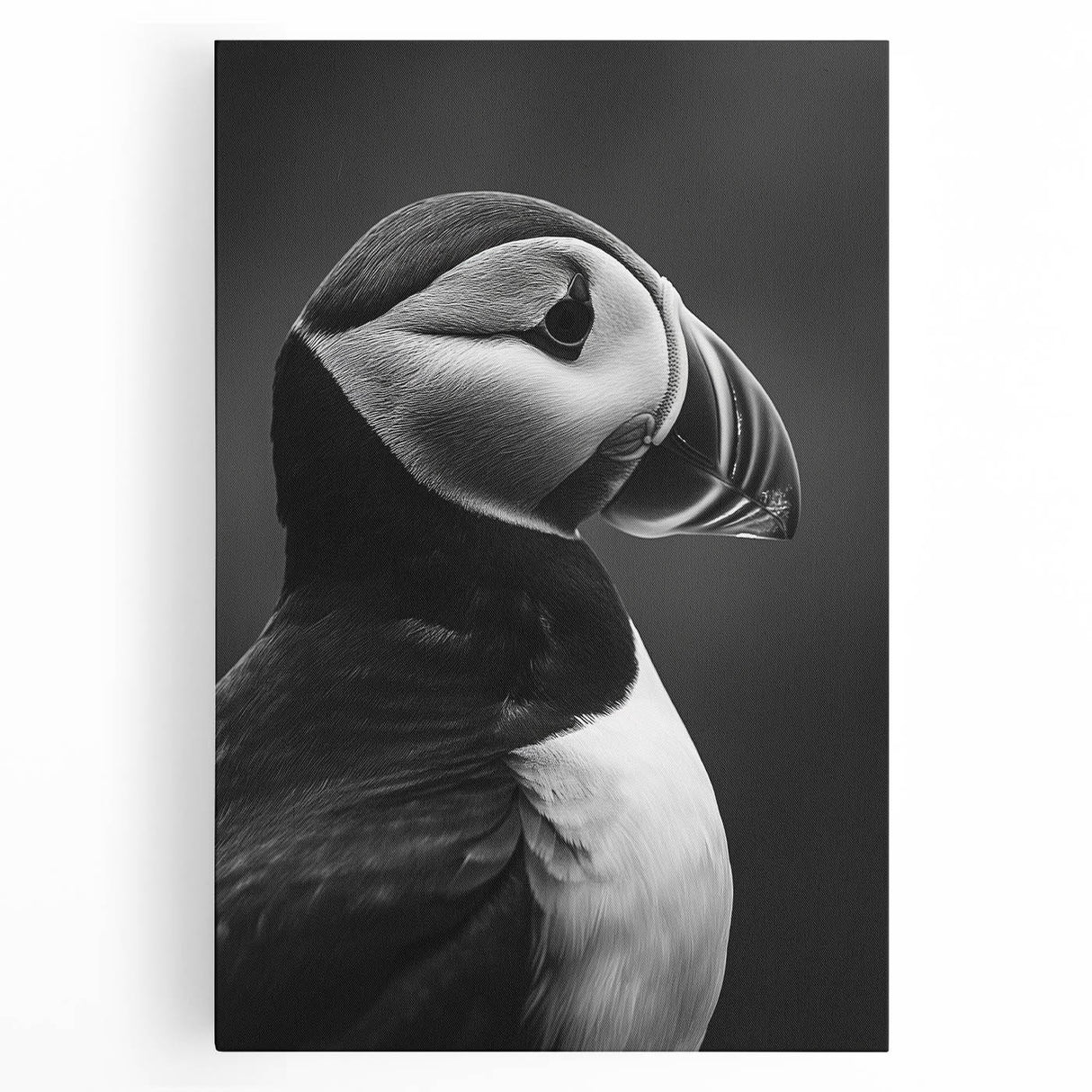 Vibrant puffin wall art design on stretched canvas showcasing vivid colors and intricate details, ideal for enhancing home decor and bird lovers' spaces.