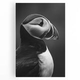 Vibrant puffin wall art design on stretched canvas showcasing vivid colors and intricate details, ideal for enhancing home decor and bird lovers' spaces.