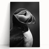 Puffin-themed wall art design on stretched canvas, showcasing vibrant colors and intricate details, ideal for enhancing home decor with a nature-inspired touch.