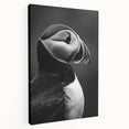 Stretched canvas wall art featuring a vibrant puffin design, showcasing intricate details and bold colors, ideal for enhancing any coastal-themed decor.