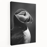 Stretched canvas wall art featuring a vibrant puffin design, showcasing intricate details and bold colors, ideal for enhancing any coastal-themed decor.