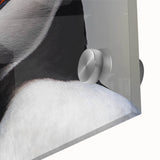 Vibrant close-up of a puffin wall art design, showcasing intricate details on acrylic glass, perfect for enhancing home decor with a coastal theme.