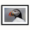 Framed wall art featuring a colorful puffin design on a white background, encased in a sleek black frame with a mat, perfect for modern home decor.