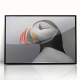 Framed wall art featuring a vibrant puffin design with a black border, showcasing colorful birds against a white background, ideal for modern home decor.