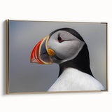 Framed canvas wall art showcasing a vibrant puffin design, featuring rich colors and a gold frame, perfect for adding a coastal touch to home decor.