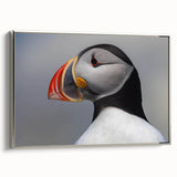 Framed wall art featuring a colorful puffin design on a canvas, showcasing vibrant hues of blue, orange, and white, set in a sleek silver frame, ideal for bird lovers’ home decor.