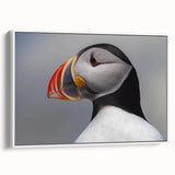 Framed wall art featuring a design of colorful puffins set against a white background, showcasing vibrant colors and intricate details, perfect for nature lovers.