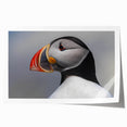 Colorful puffin design wall art print showcasing intricate details and vibrant hues, rolled and ready for framing, perfect for nature enthusiasts and home decor.