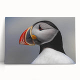 Colorful puffin wall art design on stretched canvas, showcasing vibrant wildlife in a coastal setting; perfect for nature lovers and modern decor enthusiasts.
