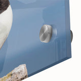 Close-up of a vibrant puffin wall art design featuring intricate colors and textures, perfect for adding a coastal touch to home décor. Ideal for nature lovers and art enthusiasts.
