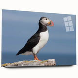 Colorful puffin design wall art collection displayed on acrylic glass, showcasing vibrant colors and intricate details, ideal for modern home decor.
