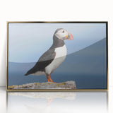 Framed wall art featuring a colorful puffin design with gold accents, set against a sleek acrylic background, perfect for modern home decor.