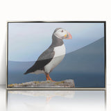 Framed wall art collection featuring a vibrant puffin design, displayed behind clear acrylic with a sleek silver frame, ideal for adding a modern touch to home decor.