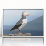Framed wall art collection featuring a colorful puffin design on a white background, showcasing vibrant colors and a modern aesthetic, perfect for bird lovers.
