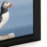 Close-up of a framed canvas wall art featuring a vibrant puffin design, showcasing intricate details and rich colors, ideal for bird lovers and home decor.