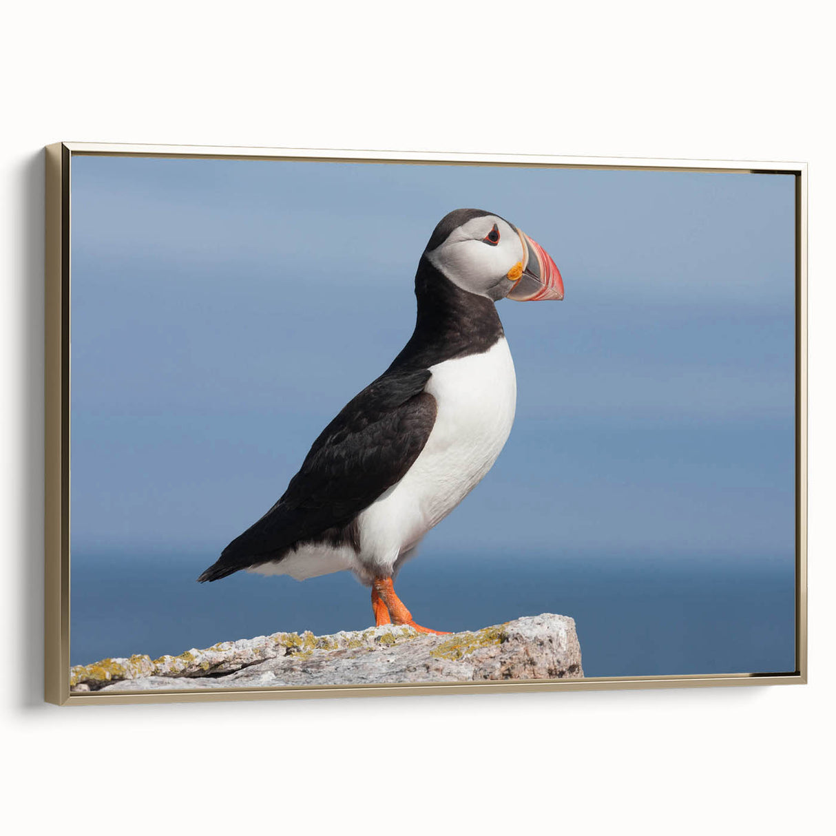 Framed wall art of a puffin design, showcasing vibrant colors and intricate details, displayed with a gold frame on a neutral background, perfect for coastal decor.