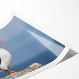 Colorful rolled wall art print featuring a whimsical puffin design, showcasing intricate details and vibrant colors, ideal for home decor or bird enthusiasts.