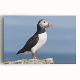 Vibrant puffin design wall art on stretched canvas, showcasing colorful birds against a neutral background, perfect for nature-themed home decor.