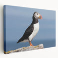 Colorful puffin wall art design on stretched canvas, showcasing vibrant hues and intricate details in a side view, perfect for bird lovers and home decor enthusiasts.