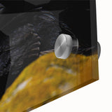 Close-up view of a colorful puffin wall art piece featuring intricate details and vibrant textures, beautifully displayed on acrylic glass for enhanced visual impact.