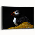 Framed wall art featuring a vibrant puffin design on canvas, displayed in a sleek black frame, highlighting the colorful bird against a light background. Ideal for nature lovers and modern decor enthusiasts.