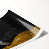 Vibrant wall art featuring a colorful puffin design, showcasing intricate details and textures, rolled and ready for display in home decor settings.