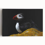 Vibrant wall art featuring a striking puffin design on stretched canvas, showcasing rich colors and intricate details, perfect for home decor enthusiasts.