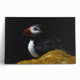 Colorful puffin design stretched canvas wall art collection leaning against a white wall, showcasing vibrant colors and intricate details ideal for home decor enthusiasts.