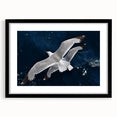 Framed wall art featuring a vibrant sea birds design, with a black frame and mat, showcasing colorful birds in a coastal setting, perfect for nautical decor.