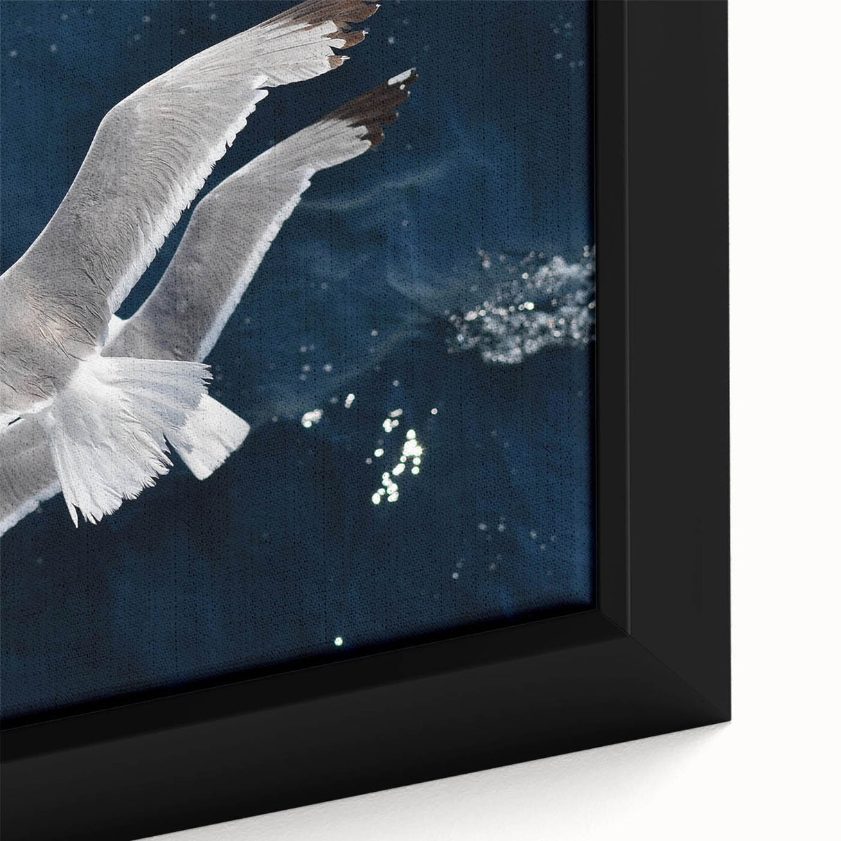 Framed wall art close-up featuring a vibrant sea bird design on a textured canvas, showcasing intricate details and rich colors, perfect for coastal decor enthusiasts.