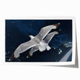 Vibrant wall art print showcasing a collection of colorful sea birds in a serene coastal setting, beautifully rolled for easy display or gifting.