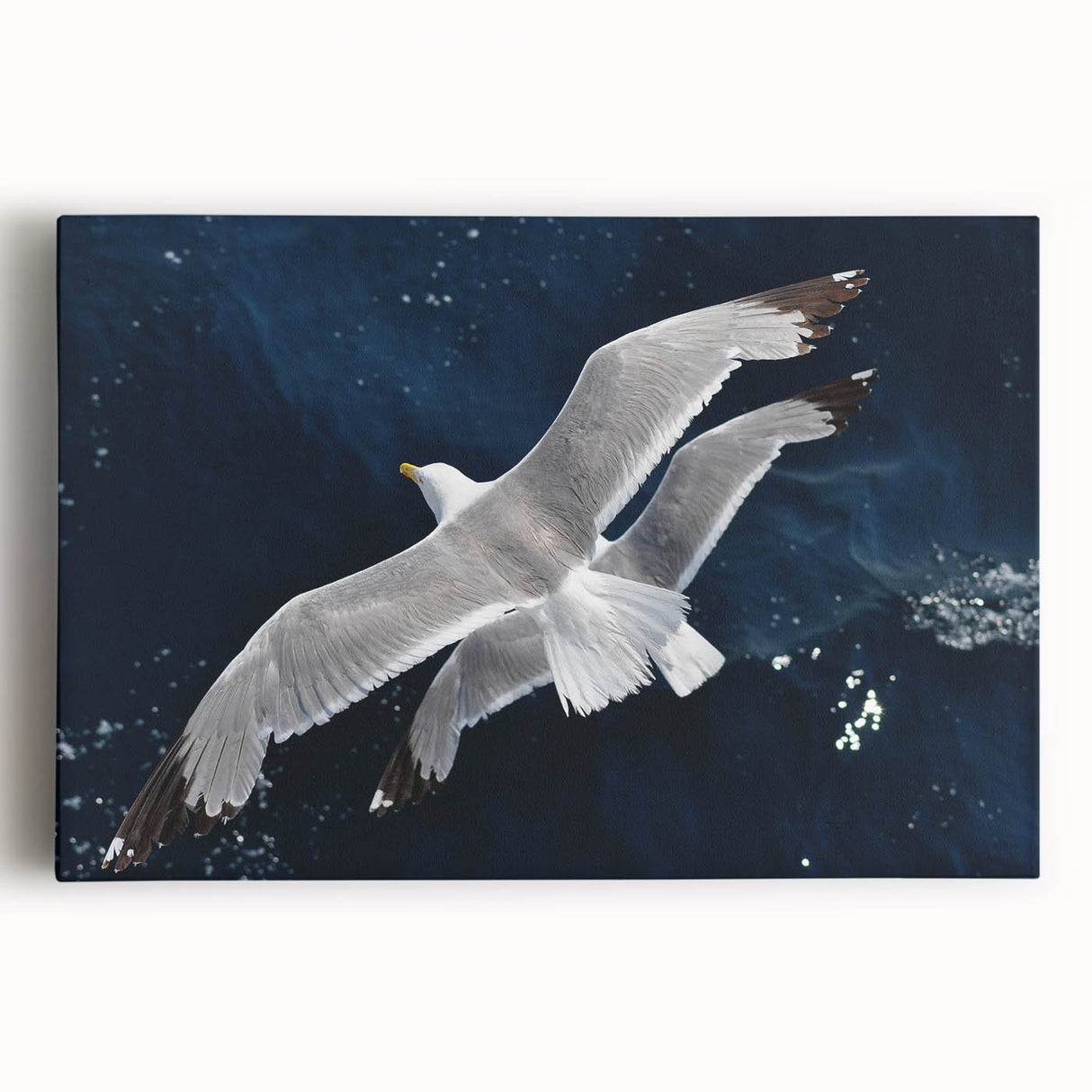 Stretched canvas wall art showcasing a vibrant sea bird design, featuring various colorful birds in flight against a serene blue background, perfect for coastal decor.