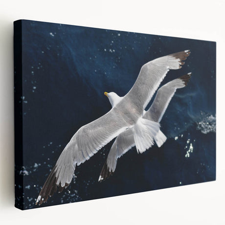 Stretched canvas wall art showcasing a vibrant sea birds design with rich colors and intricate details, perfect for coastal-themed decor and bird lovers.