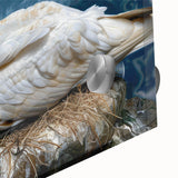 Close-up of a vibrant acrylic glass wall art collection showcasing various sea birds in intricate detail, perfect for coastal-themed decor, enhancing any living space.