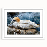 Framed wall art featuring a vibrant sea birds design, showcasing colorful avian illustrations with a white mat and frame, perfect for coastal decor.