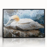 Framed wall art collection featuring three sea bird designs with a black acrylic frame, ideal for coastal-themed decor. Elevate your space with this stylish ocean-inspired artwork.