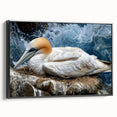 Framed wall art featuring a collection of colorful sea birds in a coastal setting, showcasing intricate details and vibrant hues against a sleek black frame.