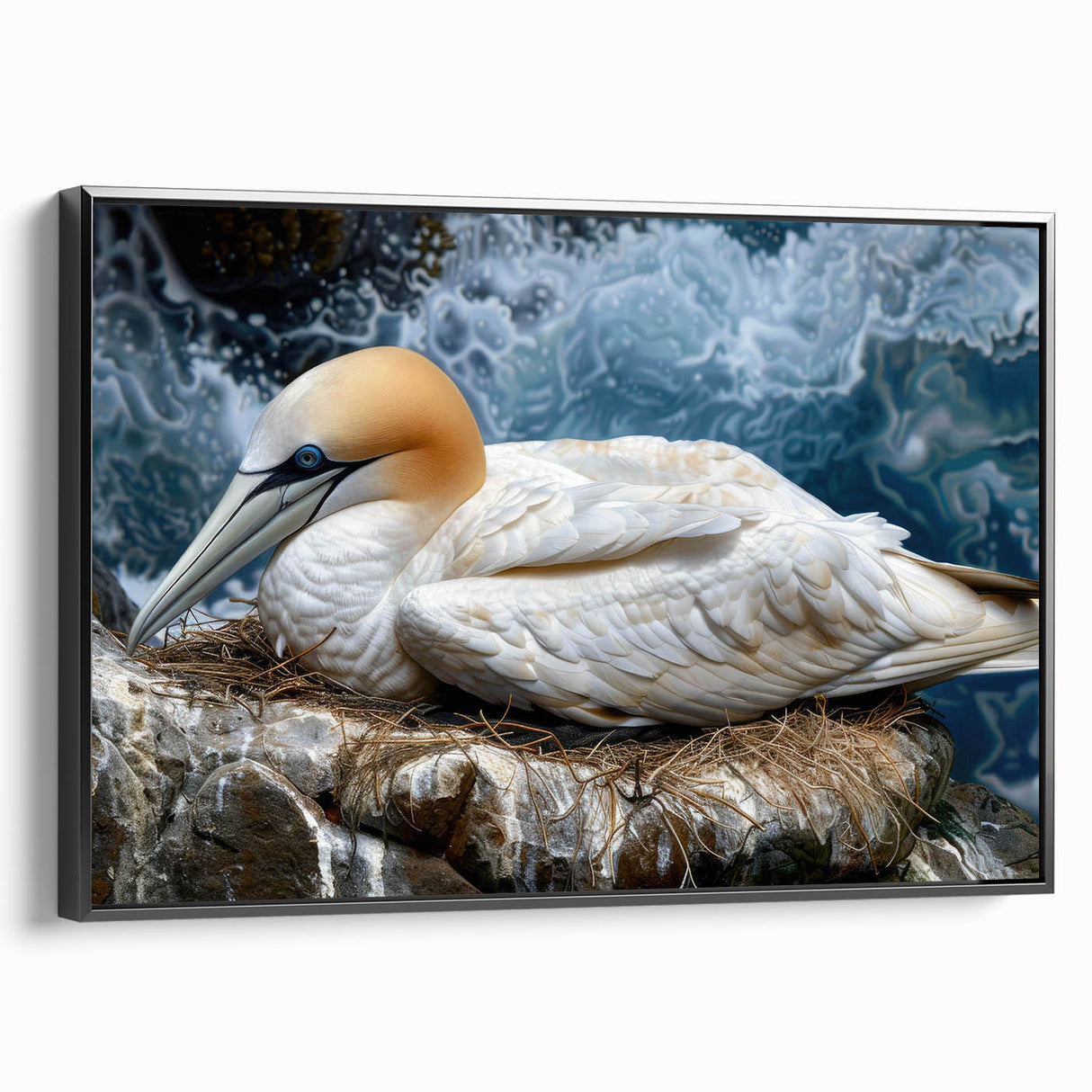 Framed wall art featuring a collection of colorful sea birds in a coastal setting, showcasing intricate details and vibrant hues against a sleek black frame.