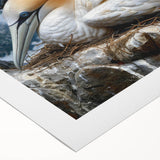 Colorful rolled canvas wall art showcasing a vibrant sea birds design, perfect for coastal decor, elegantly packaged for safe delivery in a durable tube.