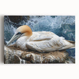 Vibrant stretched canvas wall art featuring a collection of colorful sea birds in flight against a serene blue background, perfect for coastal home decor.
