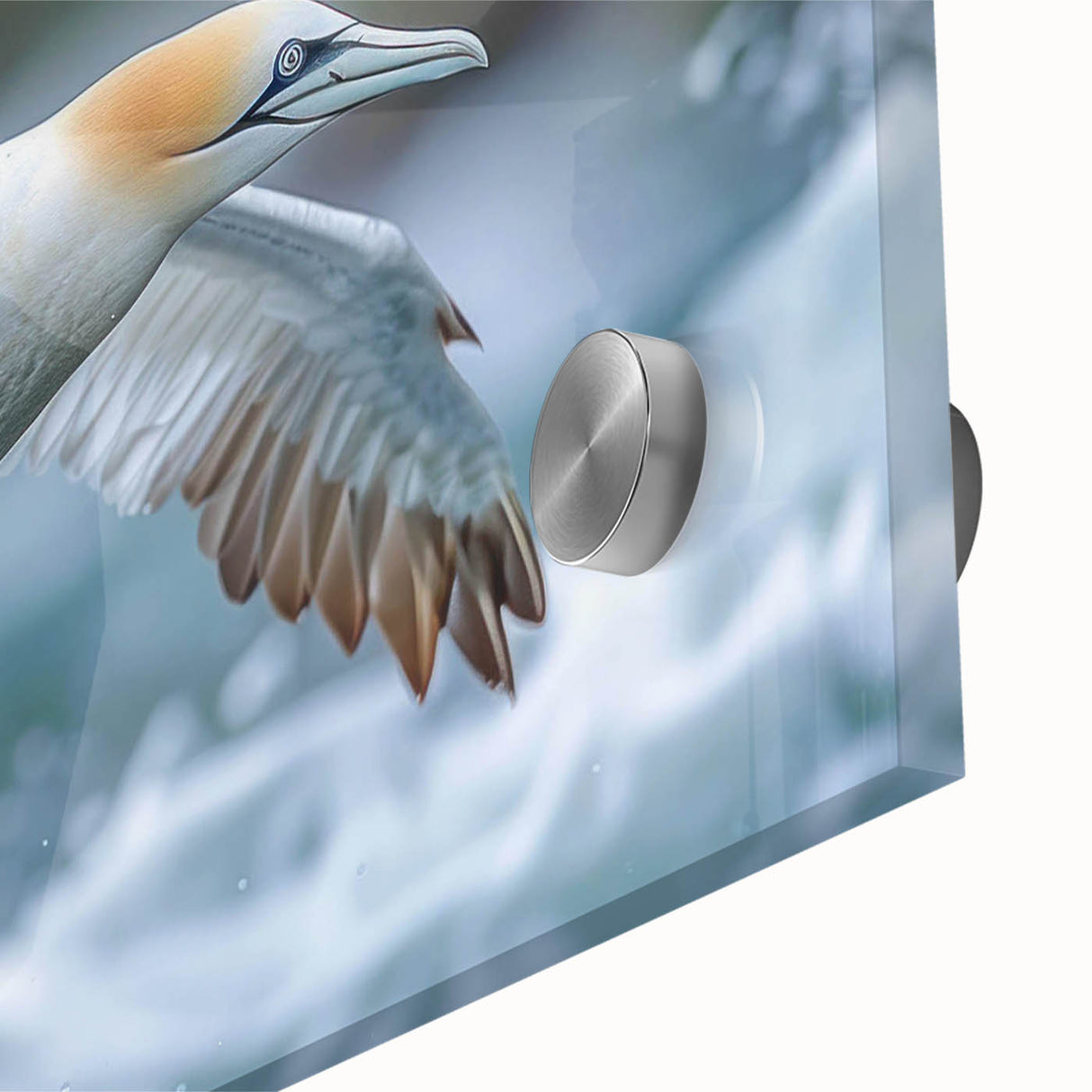 Close-up of a vibrant acrylic glass wall art piece showcasing a collection of sea birds in a dynamic design, perfect for coastal-themed decor or bird lovers.