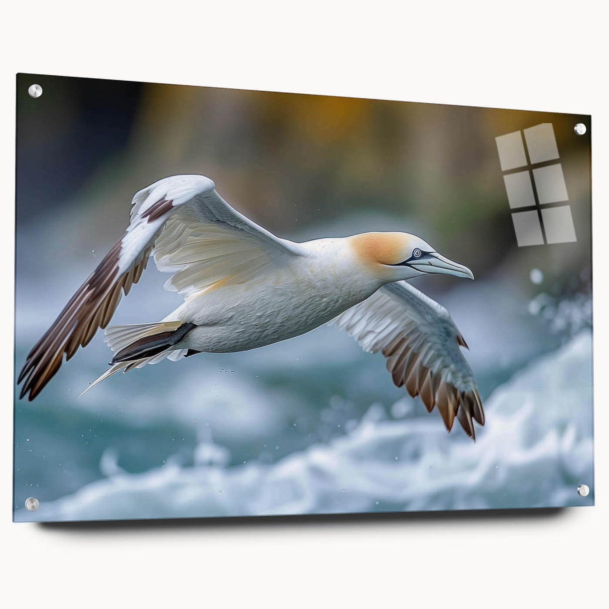 Acrylic glass wall art collection featuring vibrant sea birds in a colorful design, displayed from a side view with visible pins, perfect for coastal decor.