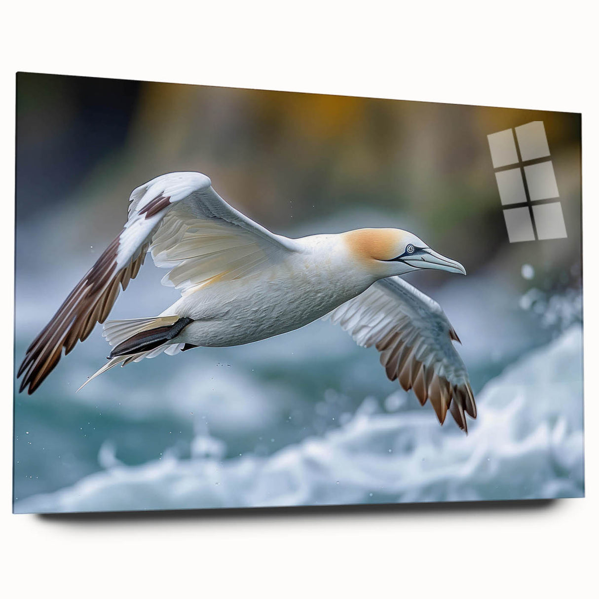 Close-up of a modern wall art collection depicting various sea birds in vibrant colors, presented in a sleek acrylic glass frame, showcasing intricate details and artistic design.