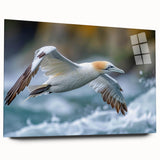 Close-up of a modern wall art collection depicting various sea birds in vibrant colors, presented in a sleek acrylic glass frame, showcasing intricate details and artistic design.