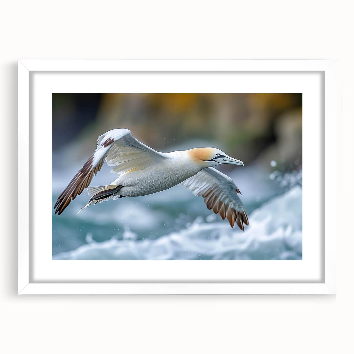 Framed wall art collection featuring a vibrant sea birds design with a white mat, ideal for coastal decor, showcasing intricate details and colors.
