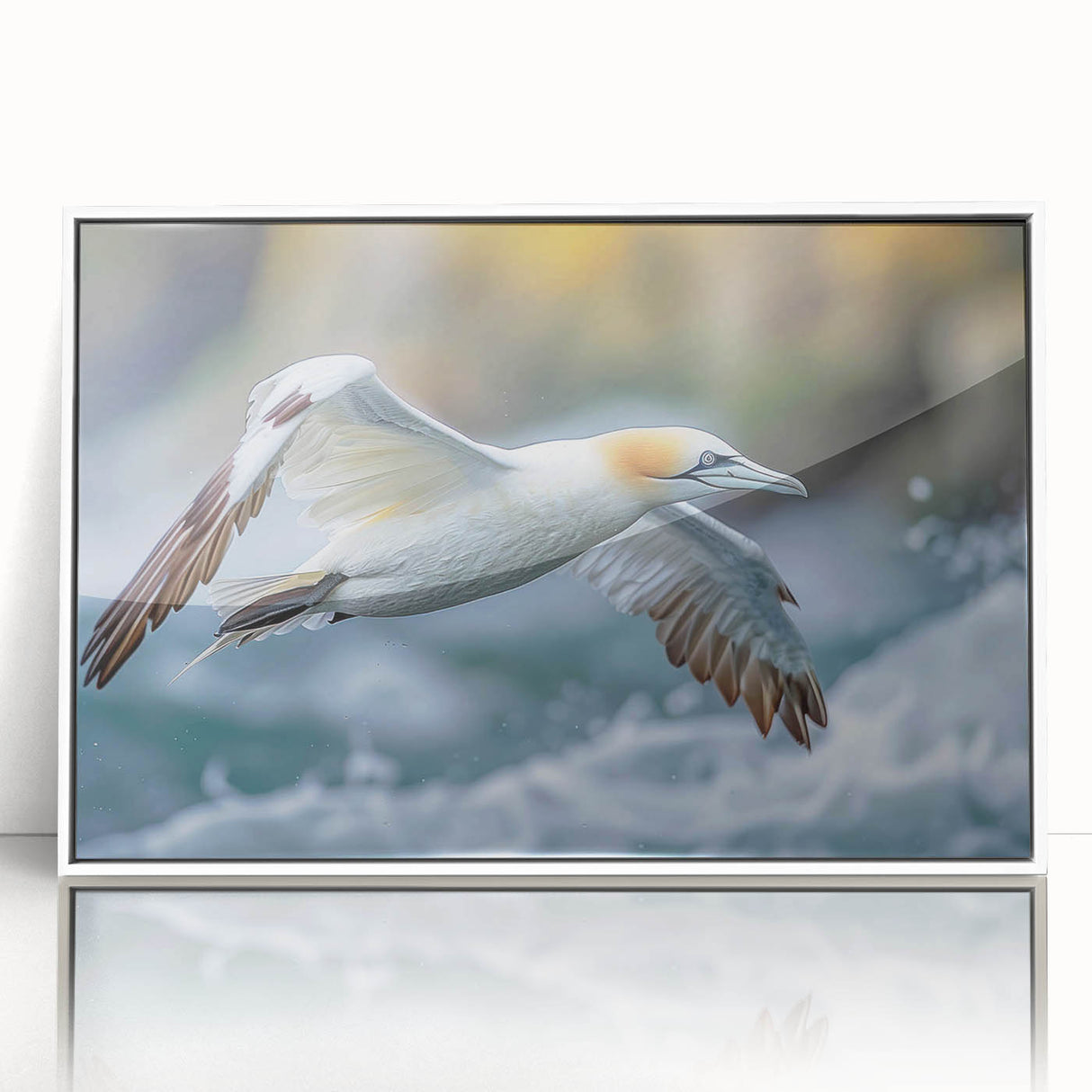 Framed acrylic wall art featuring a collection of vibrant sea bird designs, displayed in a sleek white frame, perfect for coastal-themed home decor.