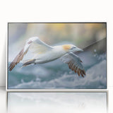 Framed acrylic wall art featuring a collection of vibrant sea bird designs, displayed in a sleek white frame, perfect for coastal-themed home decor.